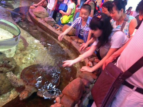 三亚的阳光与海滩,遇见阳光沙滩三亚