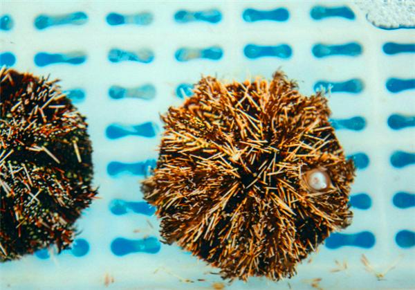 三亚的阳光与海滩,遇见阳光沙滩三亚