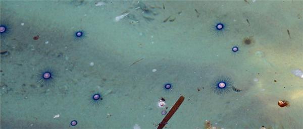 三亚的阳光与海滩,遇见阳光沙滩三亚