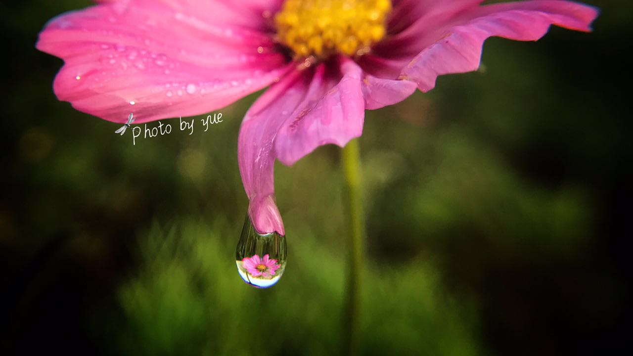 小米照片后期添加时间水印,苹果照片后期添加时间水印