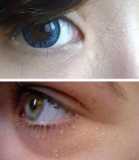 美妆博主推荐的眼霜,美妆博主推荐眼霜