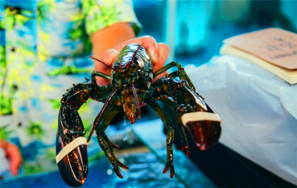 三亚的阳光与海滩,遇见阳光沙滩三亚