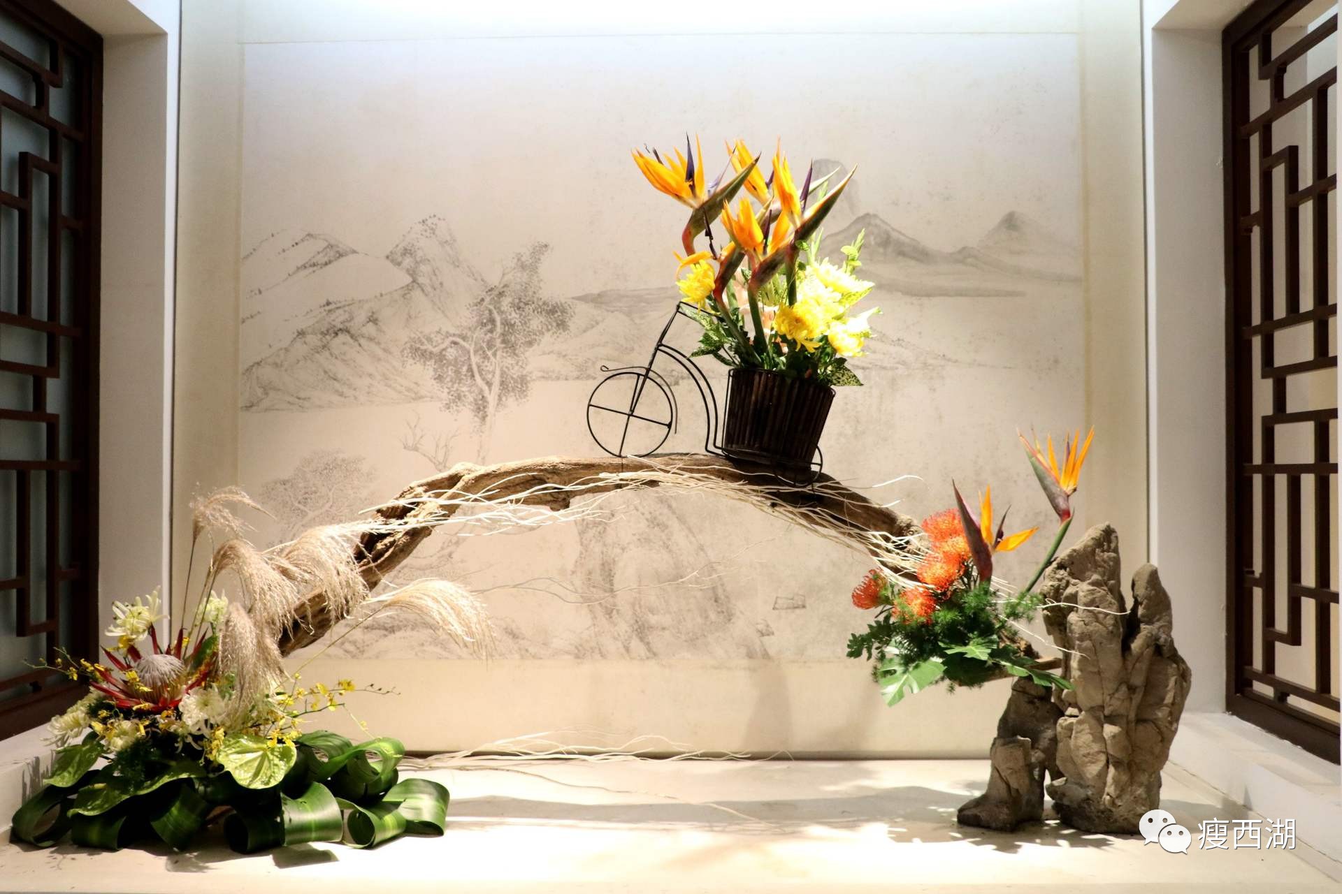 扬州瘦西湖艺术展,扬州瘦西湖盆景博物馆