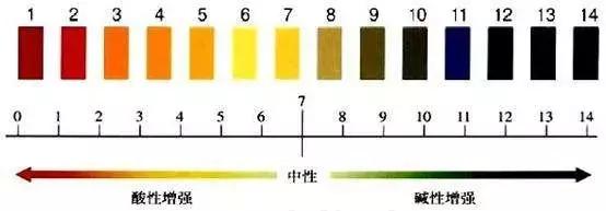 48岁钟丽缇为备孕吃药,钟丽缇回应备孕经历