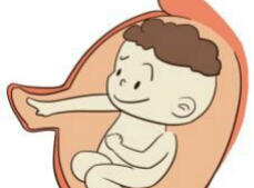 怀孕期胃里面怎么老是饿呢,怀孕期为什么越恶心越想吃