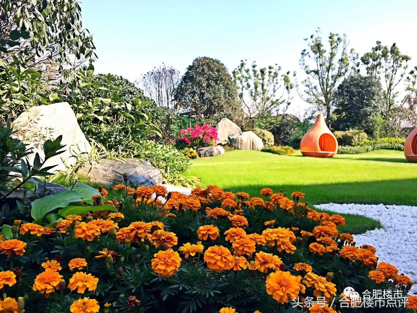 滨湖省府板块新盘投资价值,滨湖省府板块最新价格