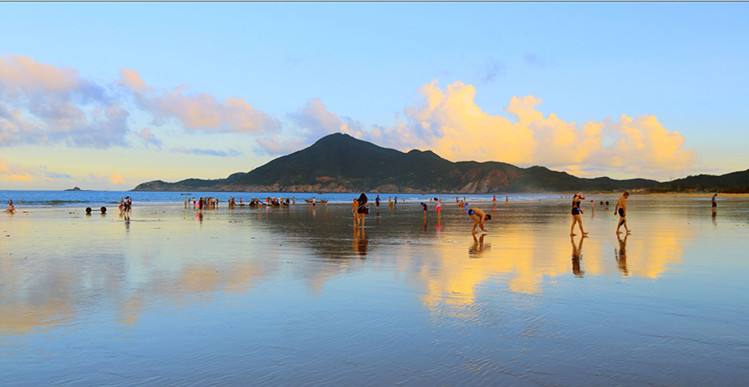 福建省漳州市东山县铜陵镇杀人案,福建省漳州市东山县相亲