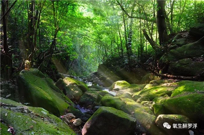 罗浮山优惠团购,双十一游玩门票团购