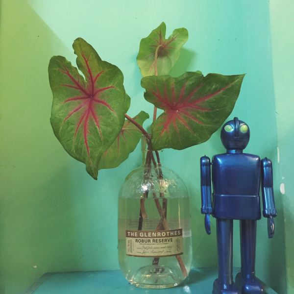 深圳有十几栋房子的90后女房东,90后女孩深圳租房