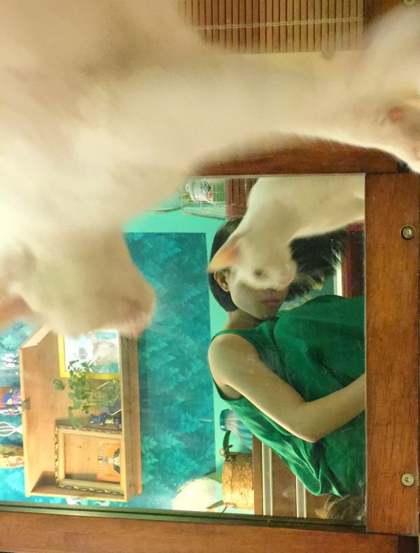 深圳有十几栋房子的90后女房东,90后女孩深圳租房