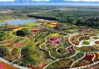 手把手教你创意农业,千万别小看创意农业