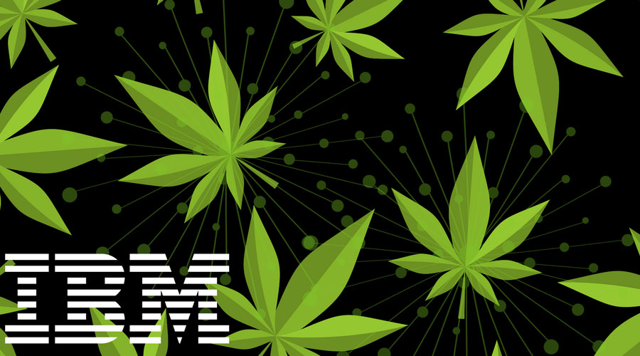 IBM：区块链可能用于追踪加拿大的*麻大**销售情况