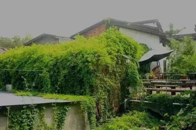 武夷山最好的别墅民宿,武夷山最值得一住的民宿