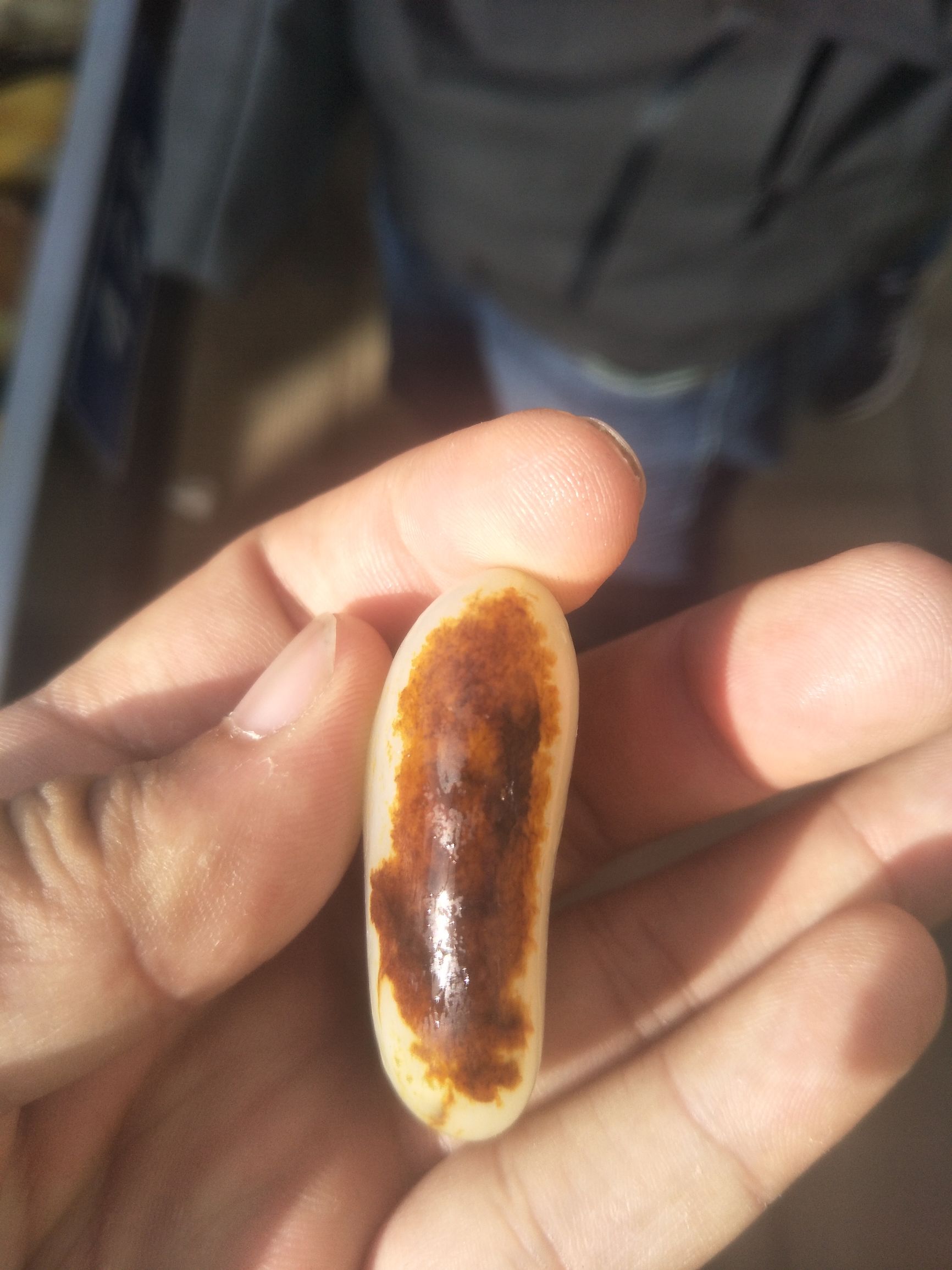 红皮白肉籽料400克原石值多少钱呀,几十公斤重的金黄色黄蜡石籽料