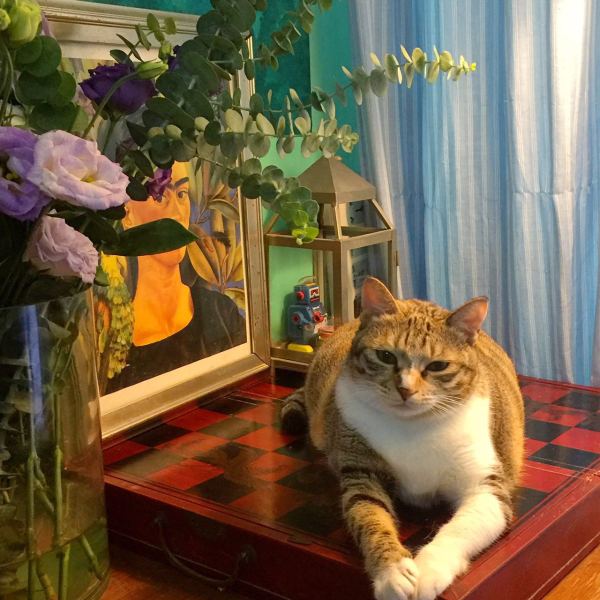 深圳有十几栋房子的90后女房东,90后女孩深圳租房