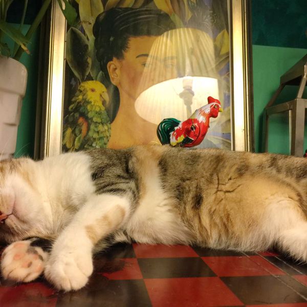 深圳有十几栋房子的90后女房东,90后女孩深圳租房