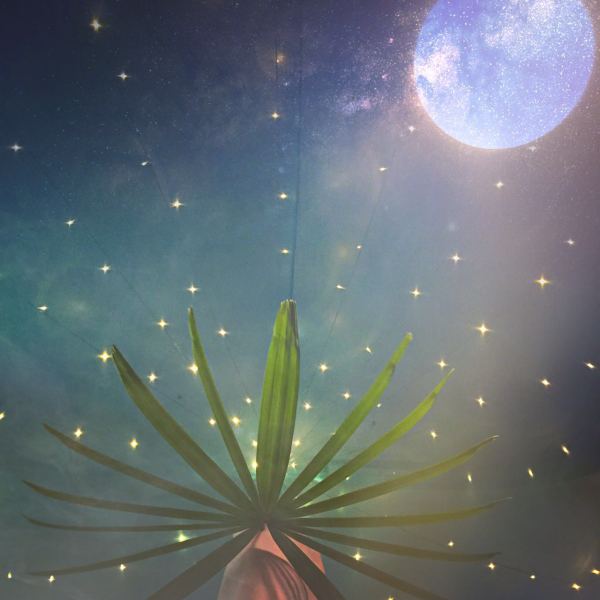 深圳有十几栋房子的90后女房东,90后女孩深圳租房