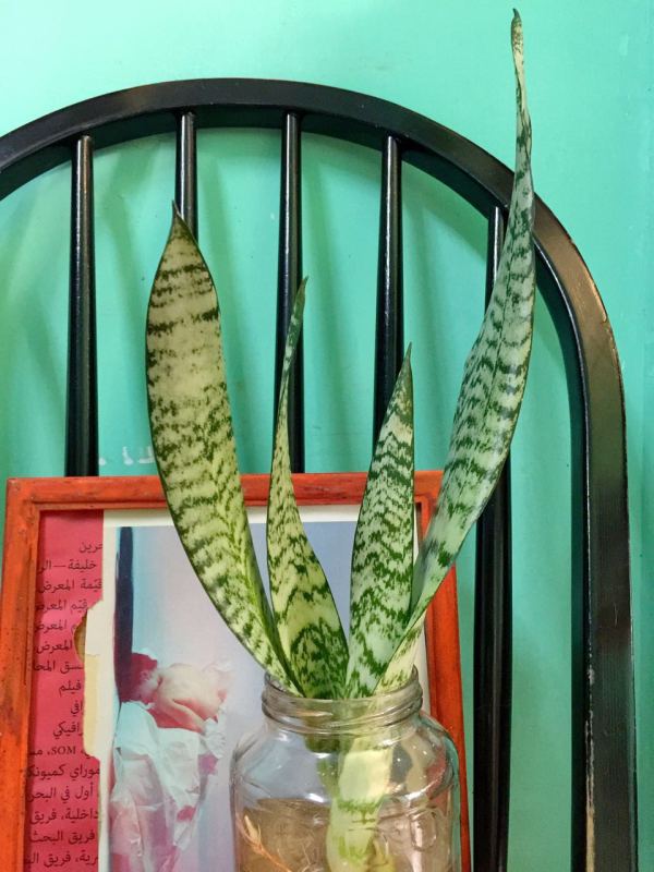 深圳有十几栋房子的90后女房东,90后女孩深圳租房