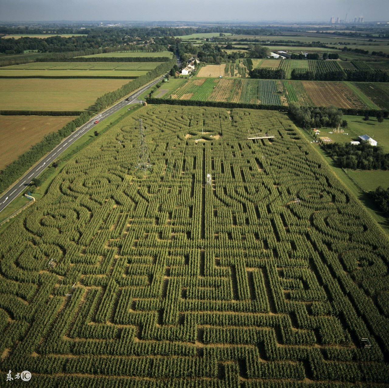 手把手教你创意农业,千万别小看创意农业