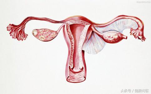 清理子宫垃圾需要人为处理吗？保养子宫需要关注哪些问题？