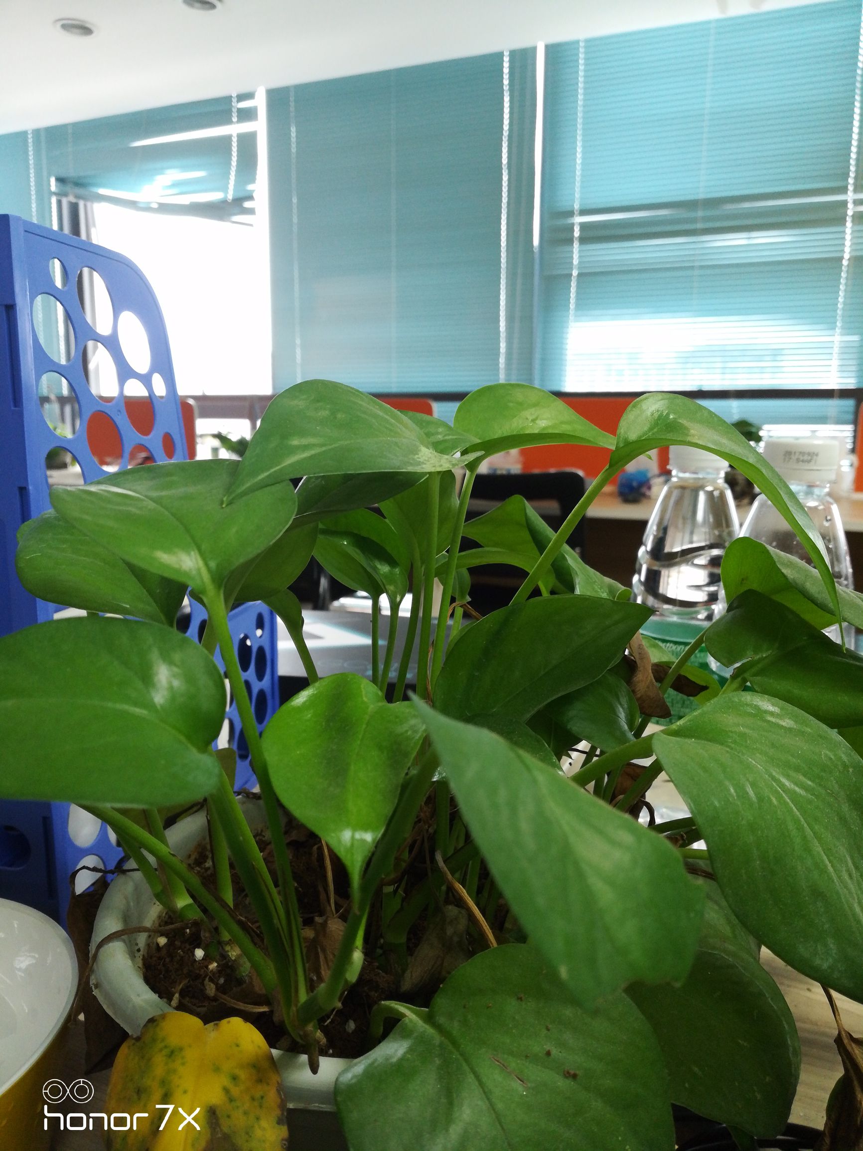 双十一华为手机千元机,华为双十一好抢吗