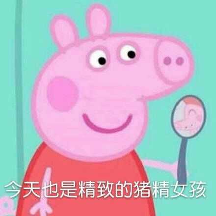 小猪佩奇逗人开心表情包,最新小猪佩奇的表情包