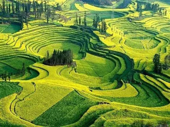 手把手教你创意农业,千万别小看创意农业