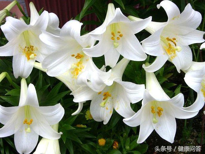 清理子宫垃圾需要人为处理吗？保养子宫需要关注哪些问题？