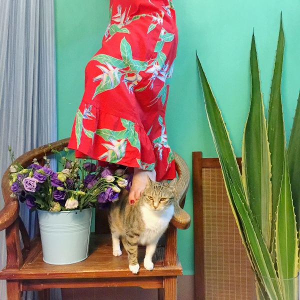 深圳有十几栋房子的90后女房东,90后女孩深圳租房