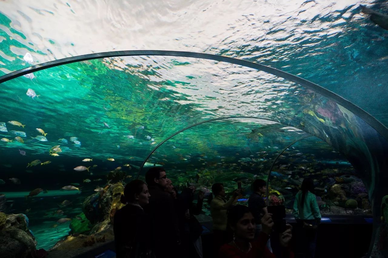 双十一规则太复杂？多伦多教你一个解决方案……