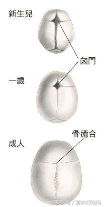 宝宝囟门闭合说明什么,宝宝囟门闭合得比较晚怎么办