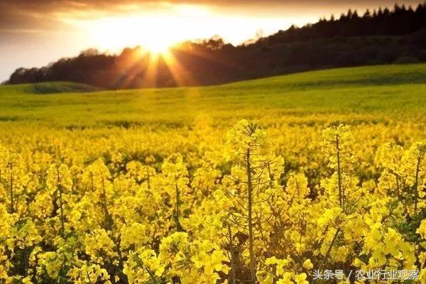 创业小作坊投资代理方案,创业小型家庭农场