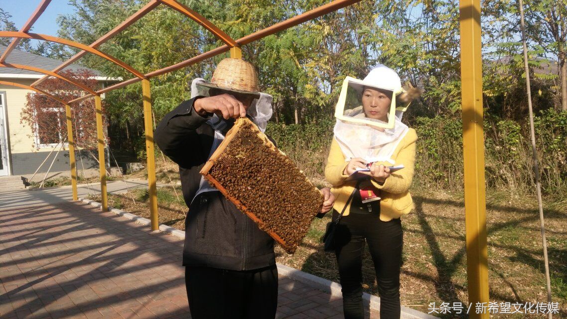 嗡嗡乐园蜂产品,嗡嗡乐园蜂蜜