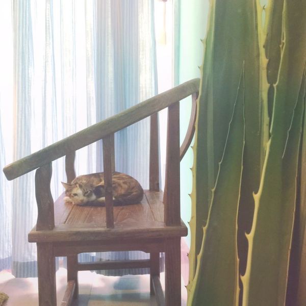 深圳有十几栋房子的90后女房东,90后女孩深圳租房