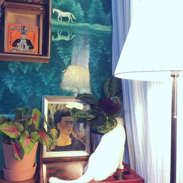 深圳有十几栋房子的90后女房东,90后女孩深圳租房