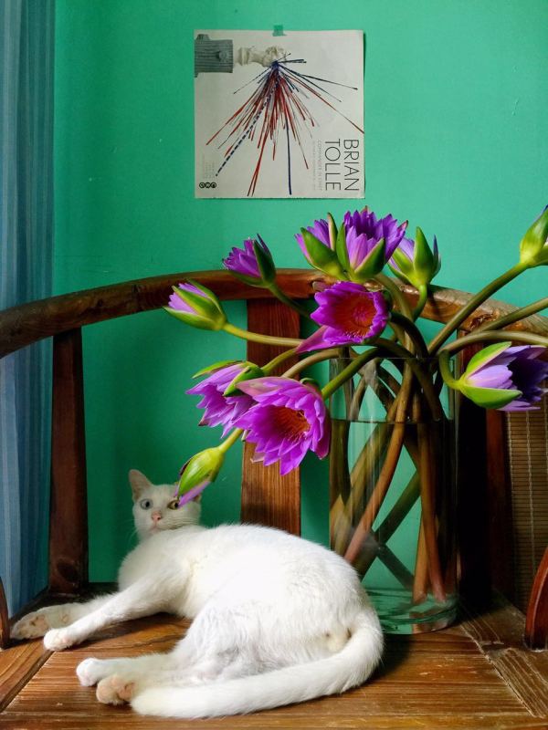 深圳有十几栋房子的90后女房东,90后女孩深圳租房