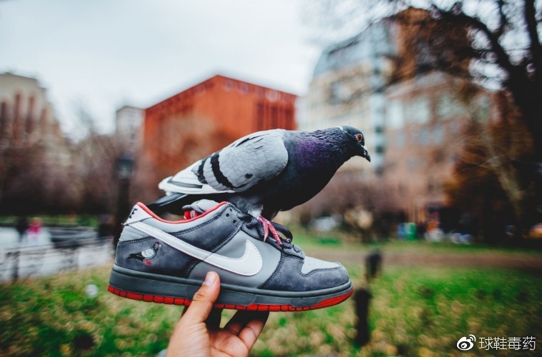dunksb黑鸽子有刷色感吗,sbdunk黑白鸽子值得买吗