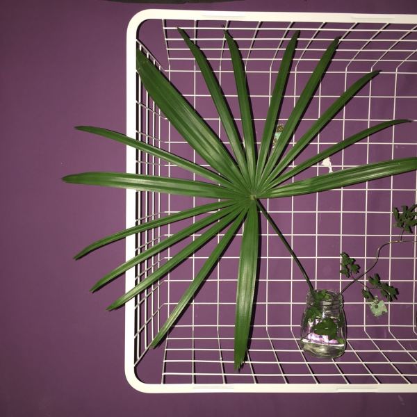 深圳有十几栋房子的90后女房东,90后女孩深圳租房