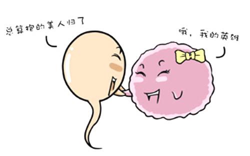 男性内分泌失调对生育的影响,防止内分泌失调平时要关注什么