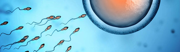 男性内分泌失调对生育的影响,防止内分泌失调平时要关注什么