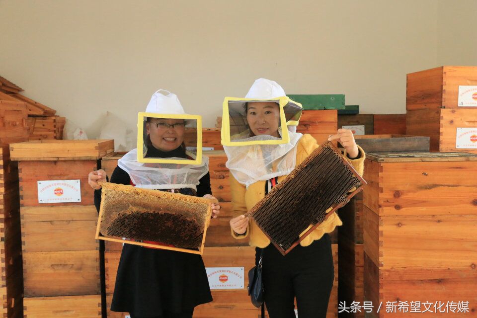 嗡嗡乐园蜂产品,嗡嗡乐园蜂蜜