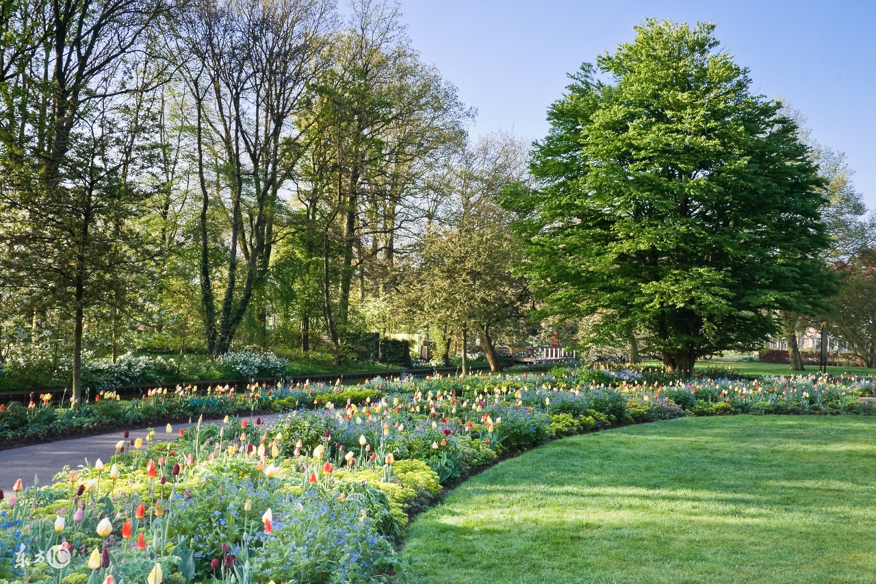 手把手教你创意农业,千万别小看创意农业