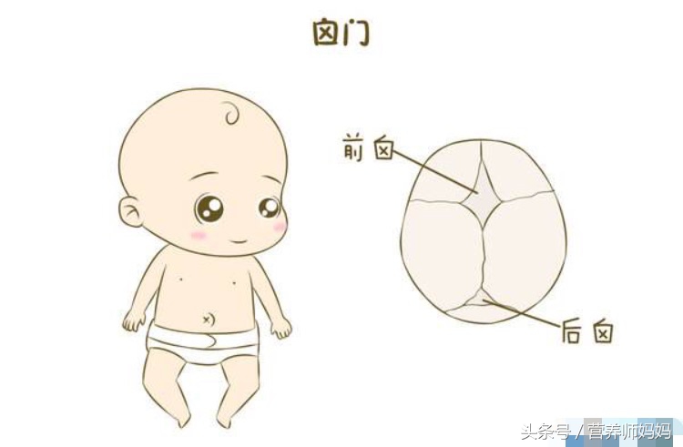 宝宝囟门闭合说明什么,宝宝囟门闭合得比较晚怎么办