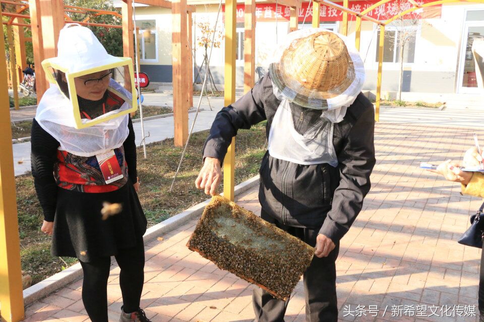 嗡嗡乐园蜂产品,嗡嗡乐园蜂蜜