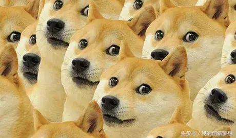 双十一脱单攻略视频大全,双十一怎样脱单