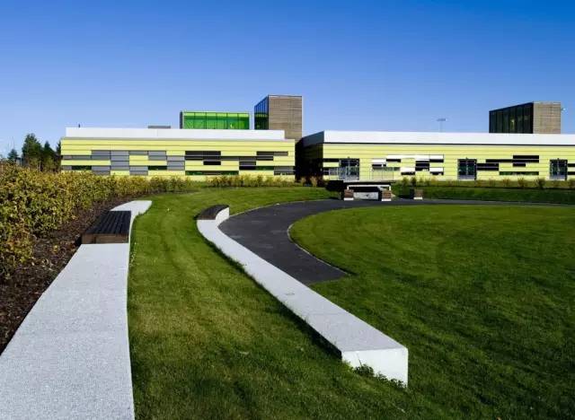 大型的景观草坪,好看的天然草坪