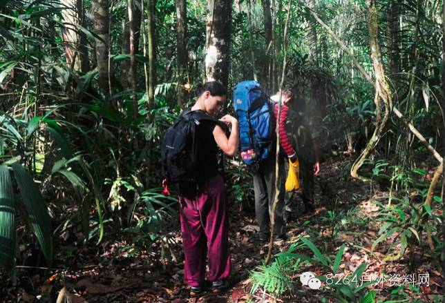 户外迷路怎么办？快收藏，记住这些救命技能！