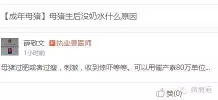 母猪奶水少小猪大小不一怎么办,母猪长痘怎么处理