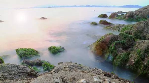 青岛市城事,岛城城事