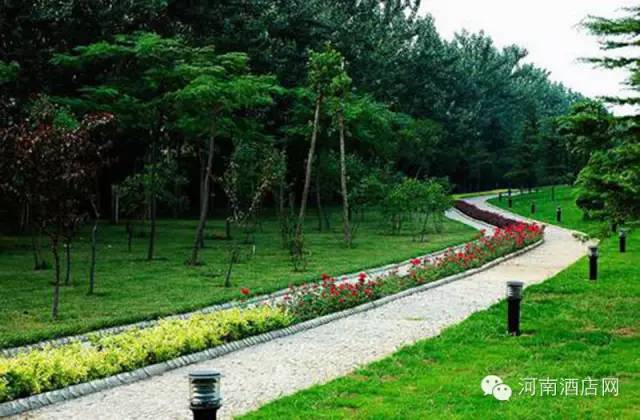 河南风景最美的16家酒店，你去过几个？